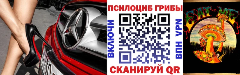 MEGA сайт  мориарти формула  Псилоцибиновые грибы ЛСД  купить   Краснообск 